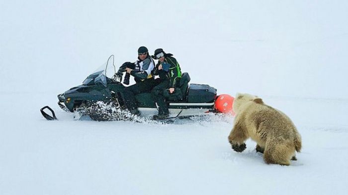 Прикольные картинки