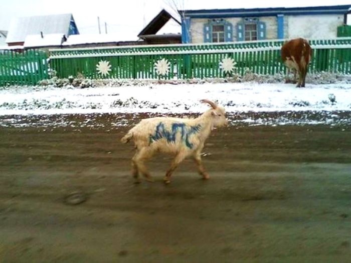 Колорит российских деревень
