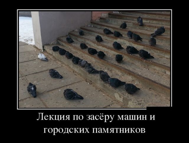 Демотиваторы