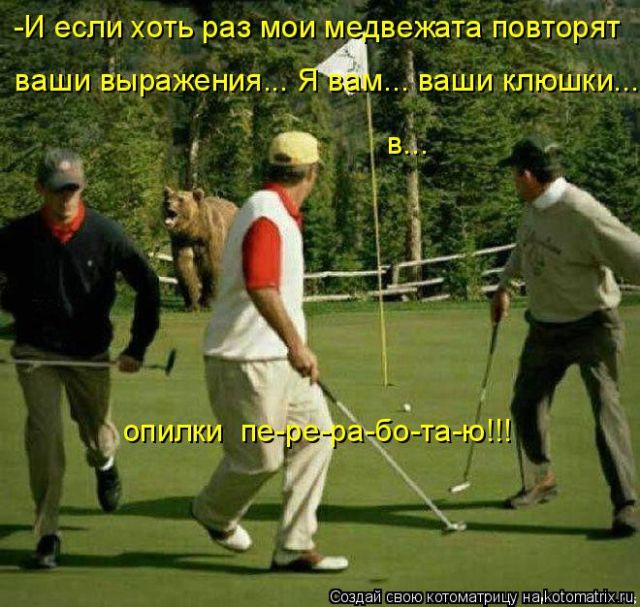 Лучшие котоматрицы недели