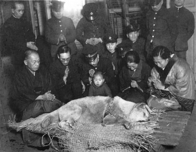 45 фотографий, которые изменят ваше представление о прошлом 45 фотографий, которые изменят ваше представление о прошлом