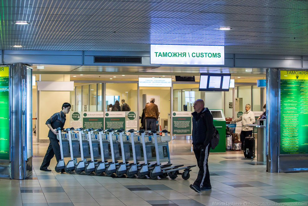 Как работает таможня в Домодедово Как работает таможня в Домодедово
