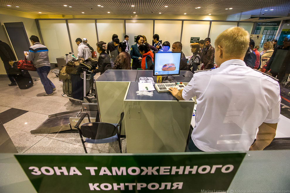 Как работает таможня в Домодедово Как работает таможня в Домодедово