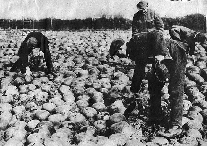 Подборка редких фотографий со всего мира Подборка редких фотографий со всего мира