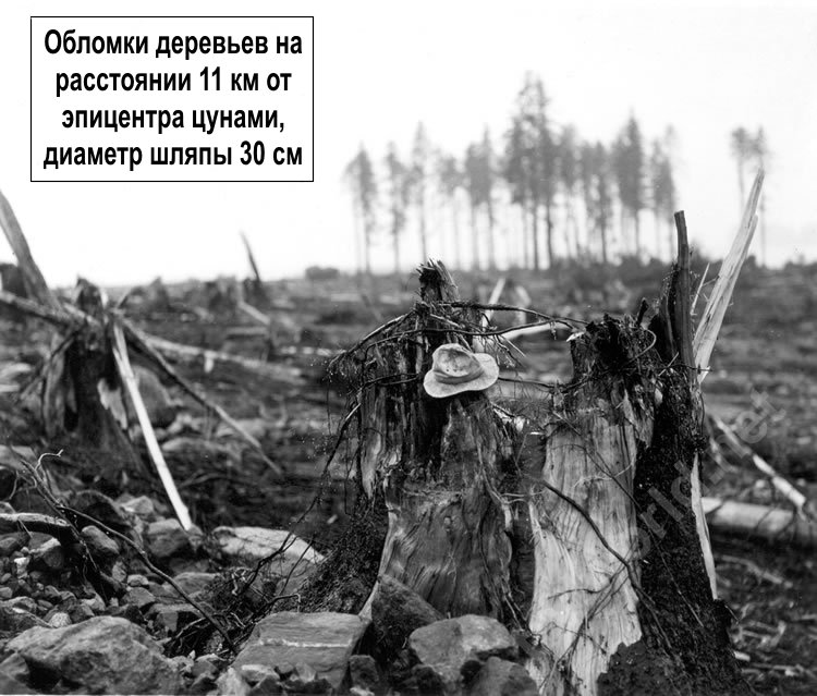 Самая высокая волна цунами за всю историю Самая высокая волна цунами за всю историю