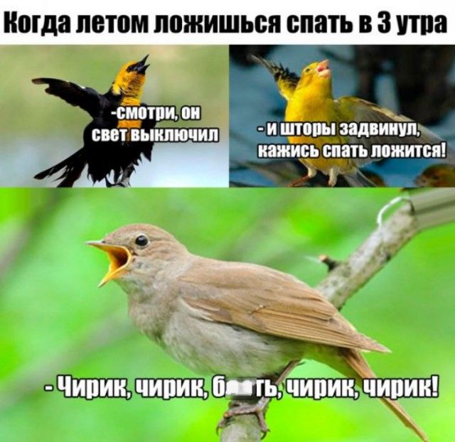 Подборка легкого юмора