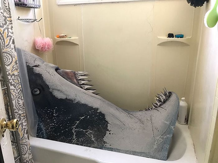Домашние розыгрыши