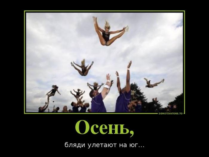 Демотиваторы (40 фото)