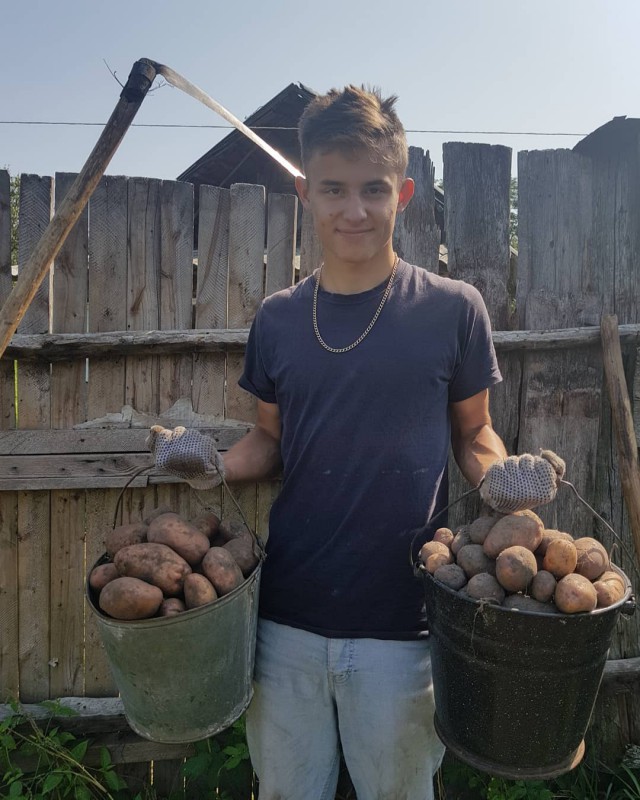 Картофельная лихорадка