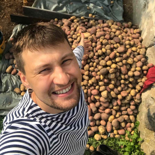 Картофельная лихорадка