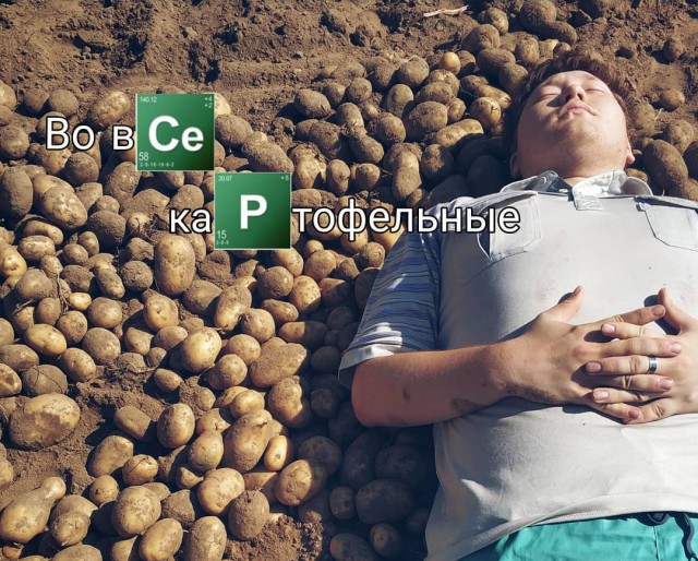 Картофельная лихорадка