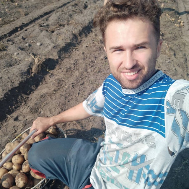 Картофельная лихорадка