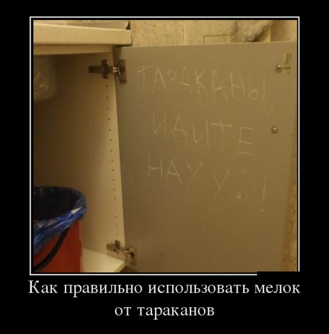 Демотиваторы