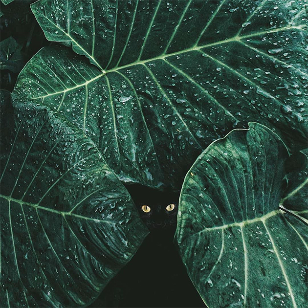 Лучшие фото Instagram за август