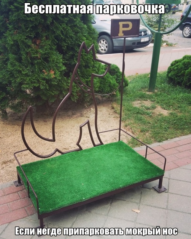 Прикольные картинки
