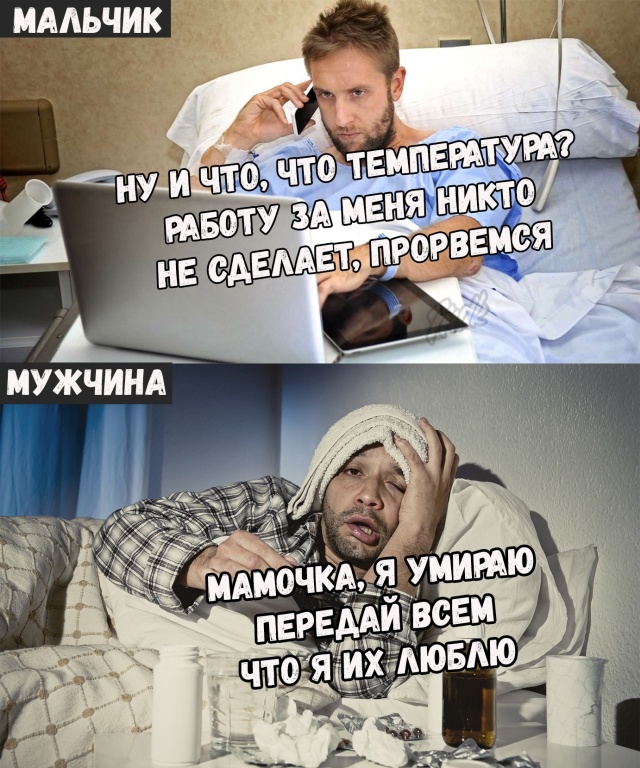 Прикольные картинки