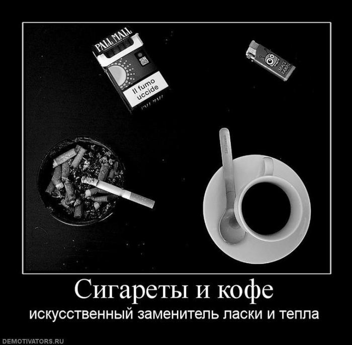 Демотиваторы (83 фото)