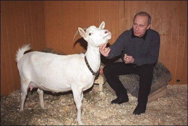 Подарок Владимиру Путину (8 фото)