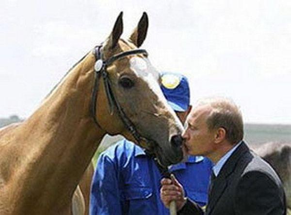 Подарок Владимиру Путину (8 фото)