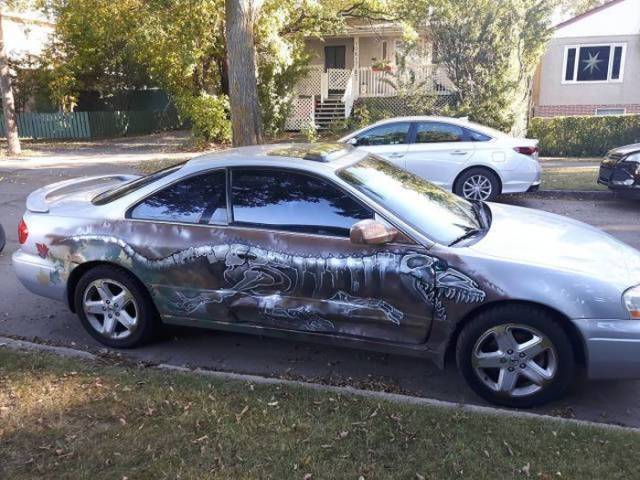 Прикольные картинки