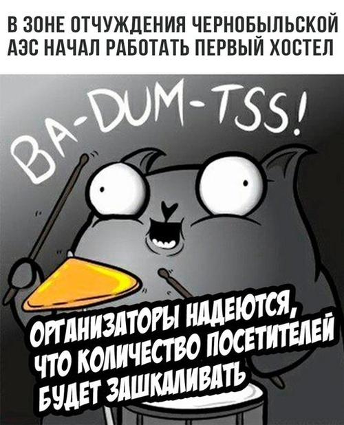 Подборка юмора и шуток от стендап-кота