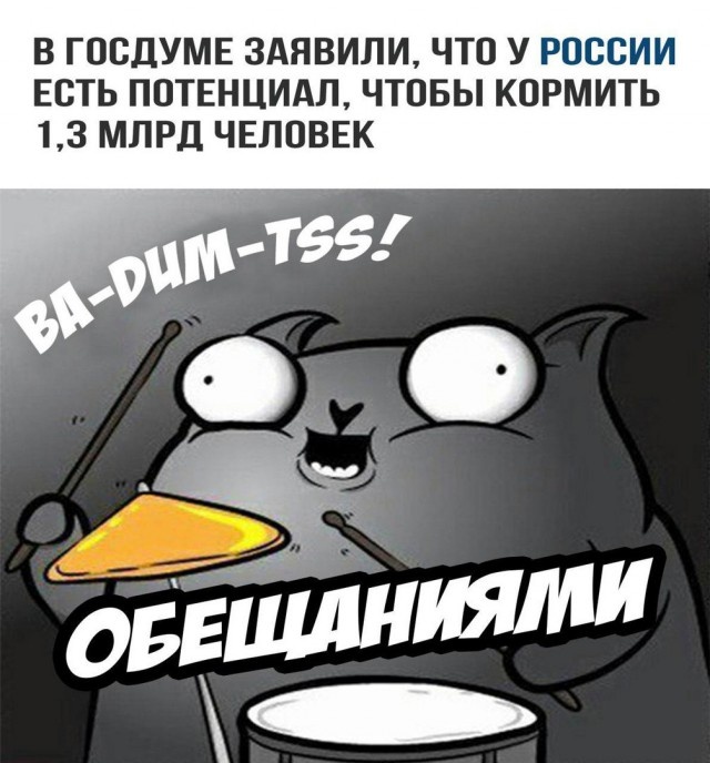 Подборка юмора и шуток от стендап-кота