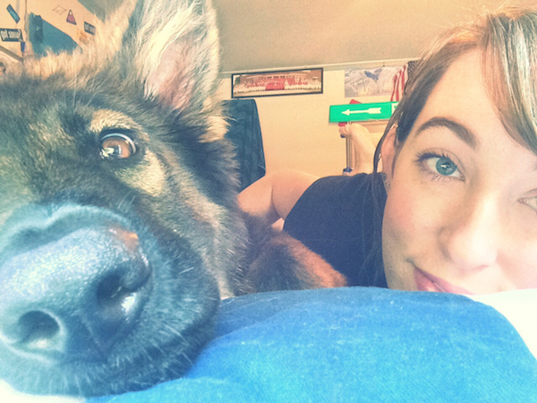 Большая подборка фотографий с животными