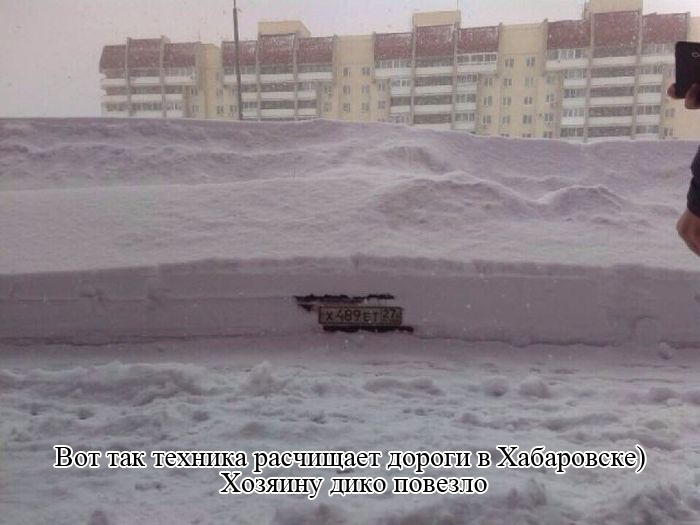Прикольные картинки (83 фото)