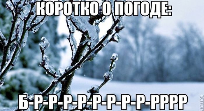 Прикольные картинки (83 фото)
