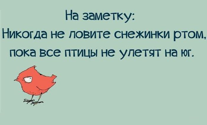 Прикольные картинки (83 фото)