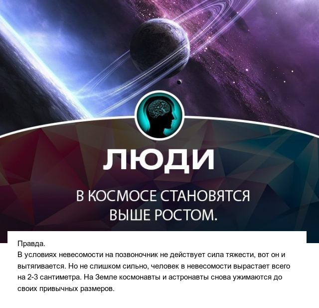 Правда или ложь: факты, которые могут вводить людей в заблуждение