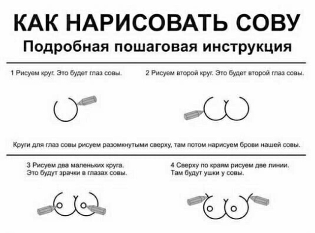 Необычная инструкция: как "правильно" рисовать сову
