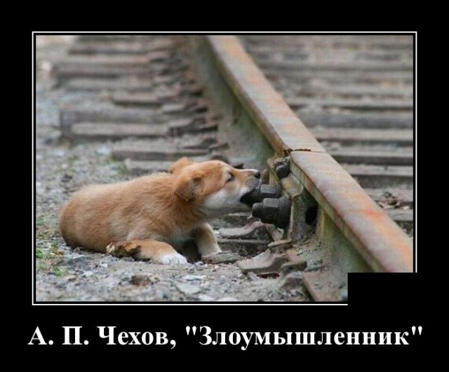 Демотиваторы