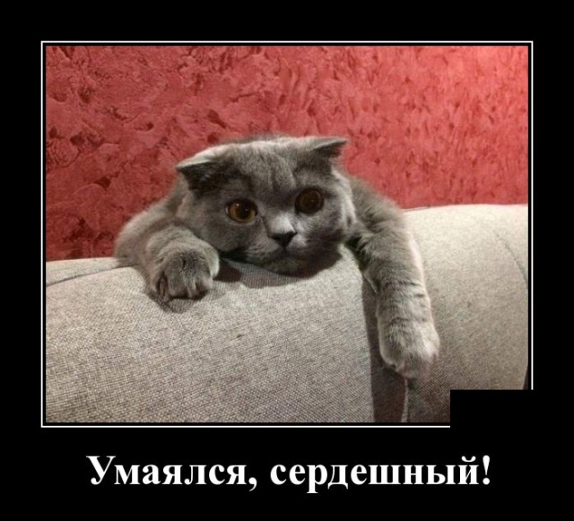 Демотиваторы