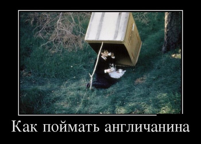 Демотиваторы