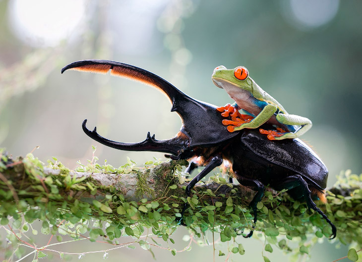 Sony World Photography Awards 2014 Sony World Photography Awards 2014