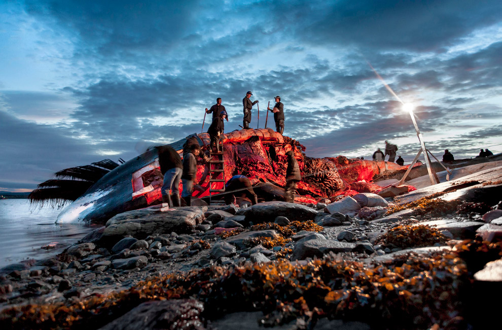 Sony World Photography Awards 2014 Sony World Photography Awards 2014