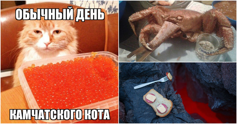 Утомленные икрой: какая она, жизнь на Камчатке? Утомленные икрой: какая она, жизнь на Камчатке?