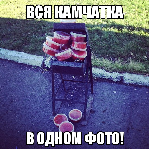 Утомленные икрой: какая она, жизнь на Камчатке? Утомленные икрой: какая она, жизнь на Камчатке?
