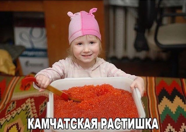 Утомленные икрой: какая она, жизнь на Камчатке? Утомленные икрой: какая она, жизнь на Камчатке?