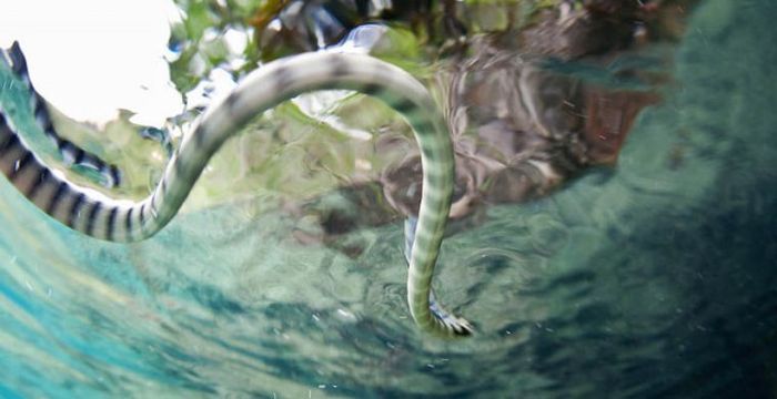 Шесть мест, в которые туристам вход запрещен Шесть мест, в которые туристам вход запрещен