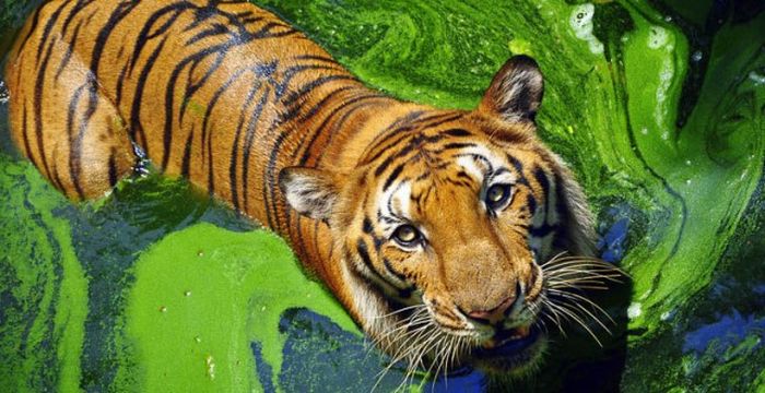 Шесть мест, в которые туристам вход запрещен Шесть мест, в которые туристам вход запрещен