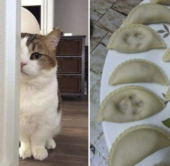 25 смешных фотографий, которые вызывают больше вопросов, чем дают ответов 25 смешных фотографий, которые вызывают больше вопросов, чем дают ответов