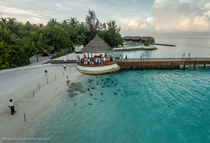 Самый роскошный отель на Мальдивах Jumeirah Vittaveli Самый роскошный отель на Мальдивах Jumeirah Vittaveli