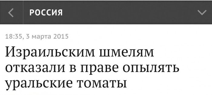 Порция картинок