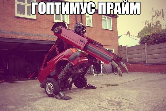 Порция картинок
