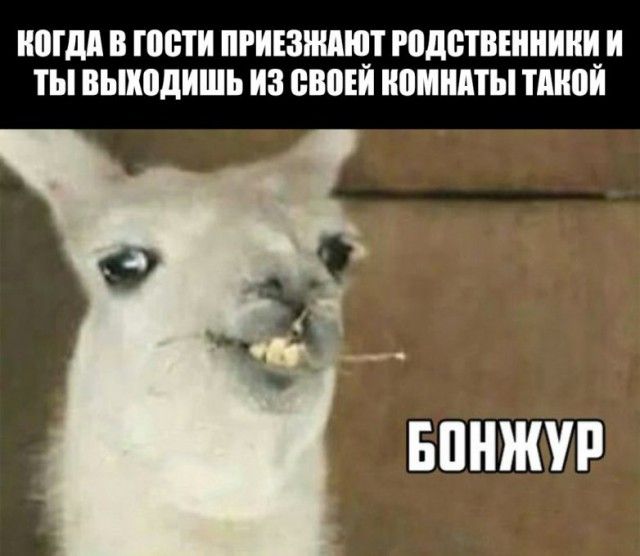 Дело было так…