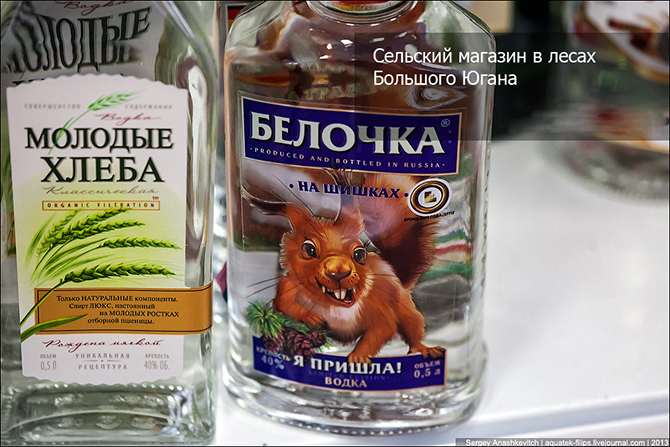 Сельский магазин в лесах Большого Югана