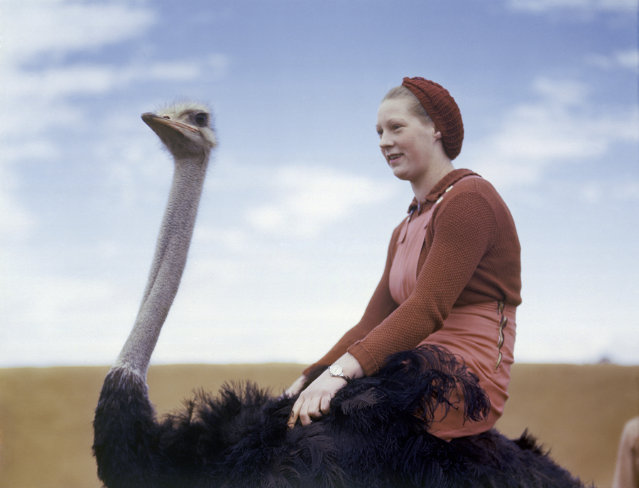 Фотоколлекция National Geographic Found Фотоколлекция National Geographic Found