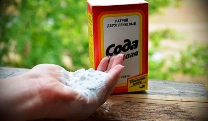 Простые средства для борьбы с ржавчиной Простые средства для борьбы с ржавчиной